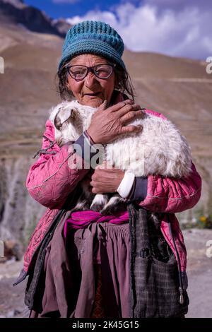 Elderly woman with at goat, Photoksar, Ladakh, India Stock Photo