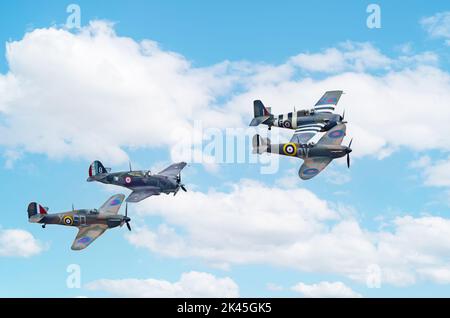 Group of four WW2 planes flying; from left, Hawker Hurricane MkI, Curtiss Hawk 75, Grumman FM-2 Wildcat, and Spitfire Mk Ia, Imperial War Museum Stock Photo