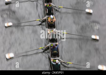 Overhead view of female crew racers rowing in an octuple racing shell, an eights team. Stock Photo