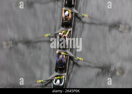 Overhead view of female crew racers rowing in an octuple racing shell, an eights team. Stock Photo
