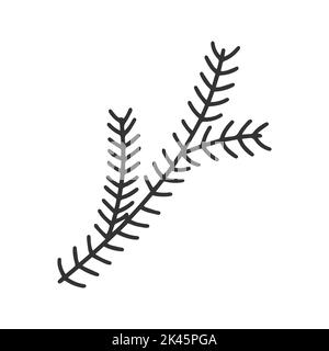 Pine or spruce branch doodle clipart. Black sketch coniferous vectoca isolated on white background. Natural christmas retro decoration vector Stock Vector