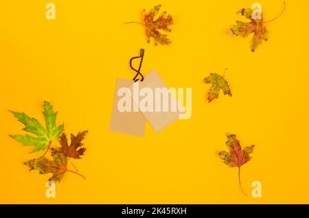 Empty brown cardboard tag with string and fall leaves on yellow background. Vintage paper textured tag. Mockup cardboard label. Price tag, sale tag, a Stock Photo