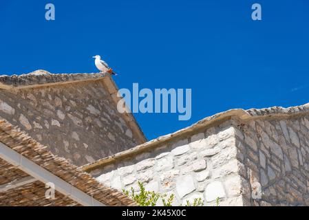 A seagull standing on top of the roof of a stone house. Croatia. Stock Photo