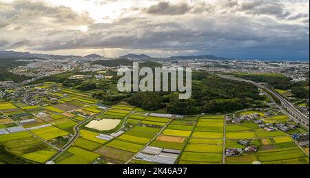 Panoramic aerial view of rice fields in rural area on stormy day Stock Photo
