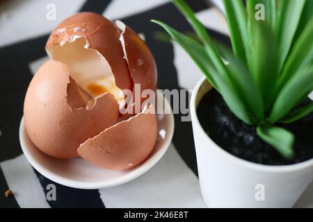 Eggs shell in a small bowl on table  Stock Photo