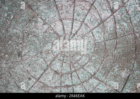 close up of natural green moss on oak texture. Stock Photo