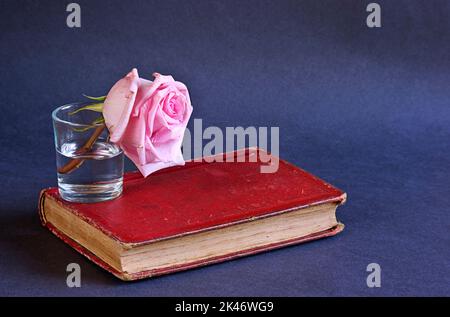 Withered rose flower with old red book. Concept photography. Stock Photo