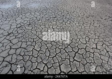 Drought, the ground cracks, no water, lack of moisture. Dried and Cracked ground, Cracked surface, Dry soil in arid areas. Stock Photo