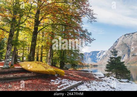 Canoe in the autumn forest on the shore of Lake Bohinj in Slovenia Stock Photo