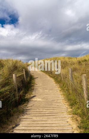 Vertical landscape of a sandy and wooden footpath leading through gentle sand dunes with grasses and reeds to the beach Stock Photo