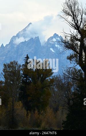 In Usa Inside The Yellowstone National Park The Beauty Of Amazing 