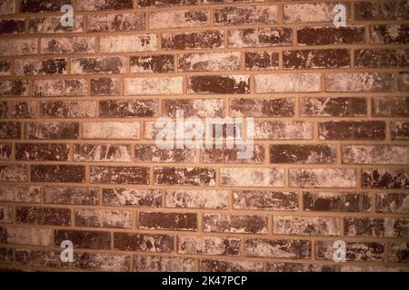 Old brick wall with shadow texture can be use as background Stock Photo