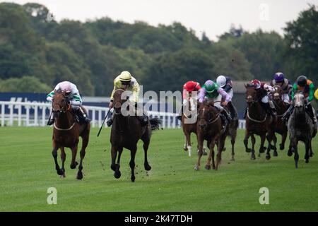 Ascot, Berkshire, UK. 30th September, 2022. Riders race at Ascot Racecourse in the Peroni Nastro Azzurro Amateur Jockeys' Handicap Stakes Stock Photo