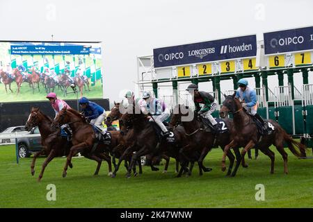 Ascot, Berkshire, UK. 30th September, 2022. Riders in the Peroni Nastro Azzurro Noel Murless Stakes at Ascot Racecourse. Credit: Maureen McLean/Alamy Live News Stock Photo
