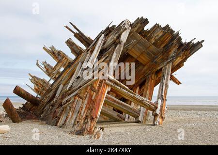 The remaining hull of the Pesuta shipwreck lying in sand north of Tlell River on East Beach in the Naikoon Provincial Park, Haida Gwaii, BC, Canada Stock Photo