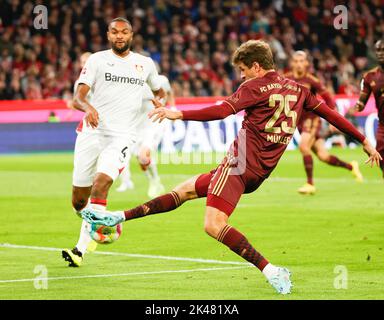 Munich, Germany. 30th Sep, 2022. Thomas Mueller of Bayern Munich controls the ball during the German first division Bundesliga football match between Bayern Munich and Bayer 04 Leverkusen in Munich, Germany, Sept. 30, 2022. Credit: Philippe Ruiz/Xinhua/Alamy Live News Stock Photo