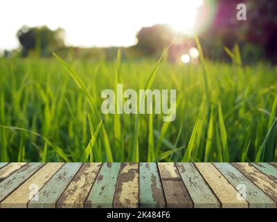 Old wooden table On the background of green rice There is a little sunlight, For placing products to promote. Stock Photo