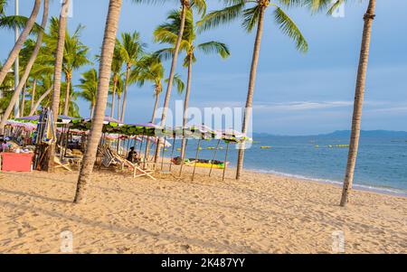 palm trees on the beach Beach Jomtien Pattaya Thailand during afternoon sunset.  Stock Photo