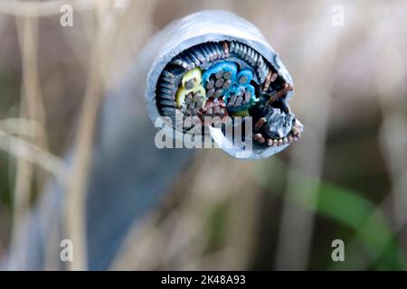 Electricity cable cut through and causing a short circuit in the Netherlands Stock Photo