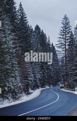 Empty windy road through the winter forest, trees covered with snow Stock Photo