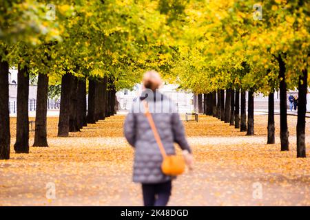 Berlin, Germany. 01st Oct, 2022. A woman walks between autumn colored trees on Museum Island. Credit: Christoph Soeder/dpa/Alamy Live News Stock Photo