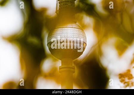 Berlin, Germany. 01st Oct, 2022. The Berlin TV tower can be seen behind autumn colored foliage. Credit: Christoph Soeder/dpa/Alamy Live News Stock Photo