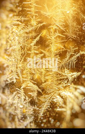 Frost gold Xmas pattern background texture . Macro photo of real snowflakes. Beautiful ornate, structure and elegant shape. Element of design. Stock Photo