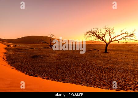 Blue hour in scenic Sossusvlei, Namib desert, Namibia Stock Photo