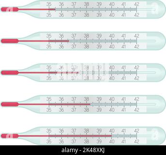 Glass mercury Thermometers with different temperature measurent on celcius scale, 36.6 degrees. Cold diagnostic, covid symptoms, flu fewer concept. Stock Vector