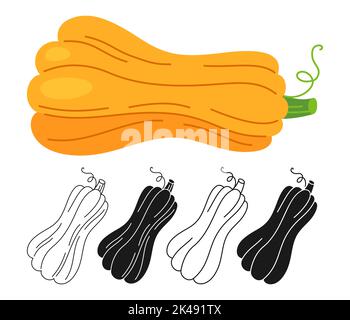 Pumpkin cartoon set line icon, symbol doodle style, engraving silhouette. Ripe flat whole pumpkins. Halloween, Thanksgiving Day festival harvest collection agricultural hand drawn vegetable vector Stock Vector