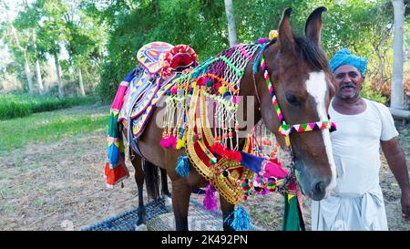 Bhinmal Rajasthan, India - May 23, 2017 : Decorated Horse for wedding in Indian rural village. Stock Photo