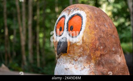 A wooden owl sculpture on the Gruffalo trail in Thorndon Country Park near Brentwood, Essex. Stock Photo