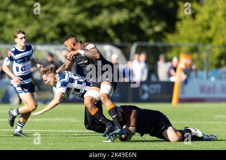 Louis Brown of Coventry Rugby is tackled by Bobby De Wee of Ealing Trailfinders during the The Championship match Coventry Rugby vs Ealing Trailfinders at Butts Park Arena, Coventry, United Kingdom, 1st October 2022  (Photo by Nick Browning/News Images) Stock Photo
