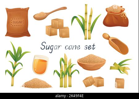 Sugar cane 3d realistic set. Bundle of bags, sugar cubes, granular sweetener on spoon or plate, sugarcane leaf plants, rum alcoholic liquid in glass Stock Vector