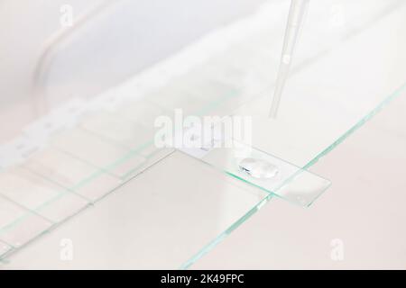 Scientist preparing slides with paraffin embedded tissue samples for immunohistochemistry assay in the laboratory. Stock Photo