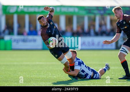 Bobby DE WEE (4) of Ealing Trailfinders is tackled during the Greene King IPA Championship match between Coventry and Ealing Trailfinders at Butts Arena, Coventry, England on 1 October 2022. Photo by David Horn. Stock Photo