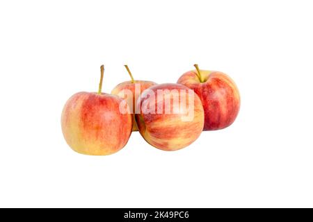 raw four of red apples fruit, isolated on white background Stock Photo