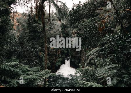 Small waterfall with lots of foam and small lake among the lush forest vegetation and cloudy sky in Okere, new zealand Stock Photo