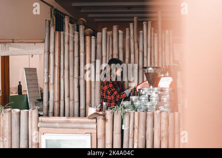 young asian woman standing in plaid shirt manipulating coffee pot while working in bamboo decorated coffee shop, the mylk bar, new zealand Stock Photo