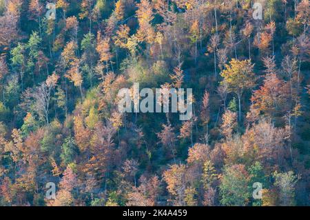 Paesaggio autunnale sul monte Polveracchio,Campania,Italia Stock Photo