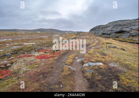 Tire tracks across the tundra in Sylvia Grinnell Territorial Park in Nunavut Stock Photo