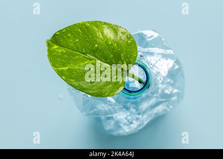 crushed plastic bottle with young green leaf growing out of it, Environmental concept, Reduce plastic waste on the ground, Recycle, Pastel blue backgr Stock Photo