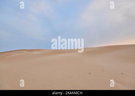 Beach 'Platja del Fangar', sand dunes, Vegetation, nature reserve, ebro delta, Catalonia, Spain Stock Photo