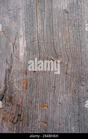 Wood plank textured background material Stock Photo