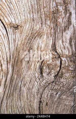 Wood plank textured background material Stock Photo