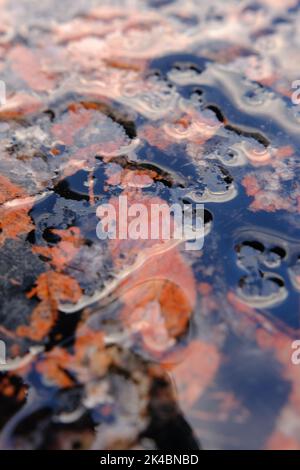 Real natural marble stone and surface background, Black and red slate marbel texture under water, natural brown rustic matt slab marble, emperador sto Stock Photo
