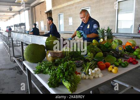 U.S. Customs and Border Protection, Commissioner Kevin McAleenan went on a agriculture inspections tour with the 26th Coast Guard Commandant, Admiral Karl Schultz, United States Congressman Kevin Yoder, and Field Operations for Trade Operations at Laredo Field Office, Assistant Director Brad Skinner in McAllen, Texas on June 4, 2018. Stock Photo