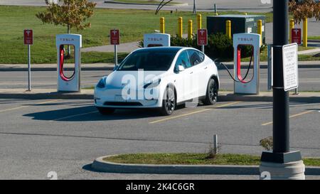 A white Tesla Model Y, Tesla's best-selling car model, is seen plugged in and charging at a Tesla Supercharger location. Stock Photo