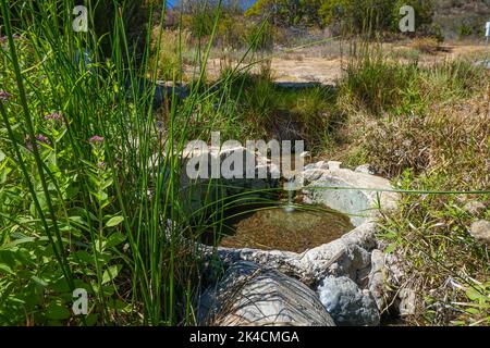 A stone soaking pool still remains at the abandoned San Juan Hot Springs Resort site along Orange County's Ortega Highway. Stock Photo