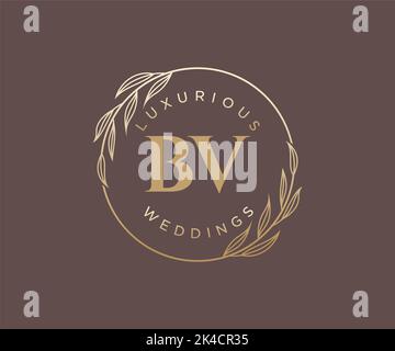 BV Initials letter Wedding monogram logos template, hand drawn modern minimalistic and floral templates for Invitation cards, Save the Date, elegant Stock Vector
